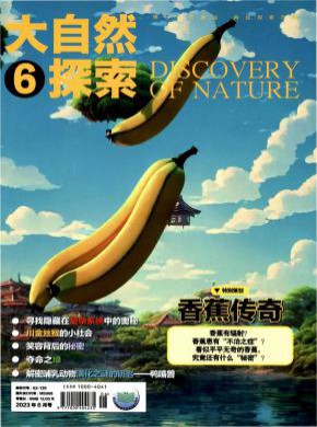 大自然探索期刊